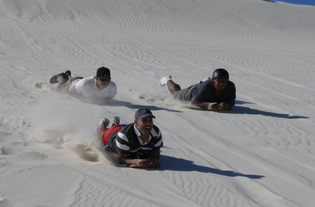 Ladybird_Sandboarding_Boarding